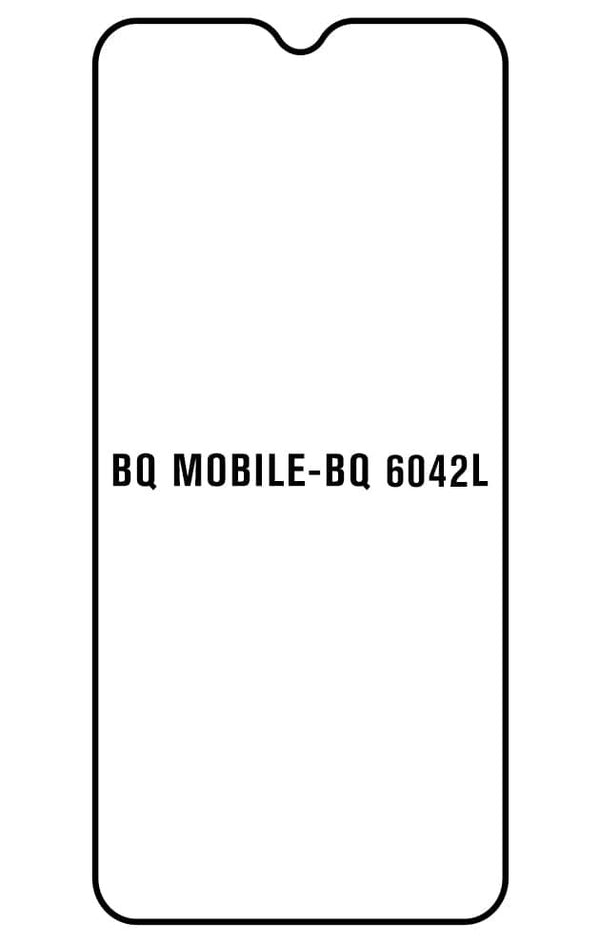 Film hydrogel pour BQ Mobile BQ 6042L MAGIC E